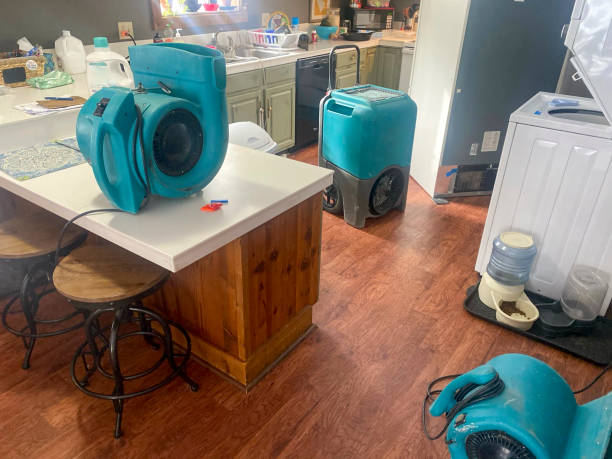 Best Water damage repair service  in Central Point, OR