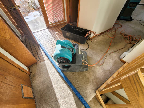 Water damage restoration mold remediation in OR