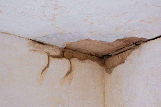 , OR Water damage restoration Company