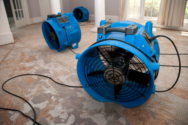 Best Flood damage cleanup  in Central Point, OR